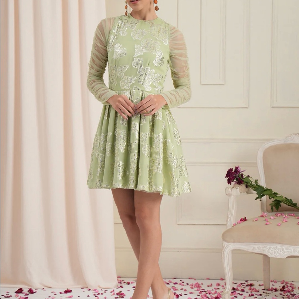 Light Green Floral Lace Fit-and-Flare Dress